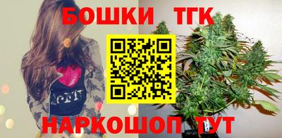 индика Ирбит