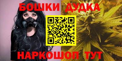 индика Ирбит