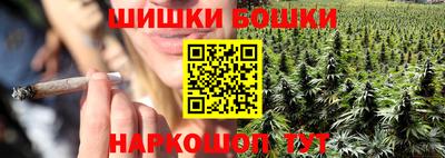 индика Ирбит