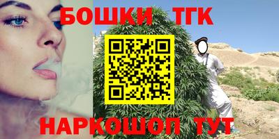 индика Ирбит