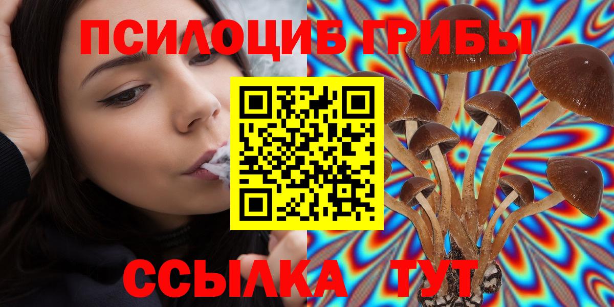 Галлюциногенные грибы мицелий Киров