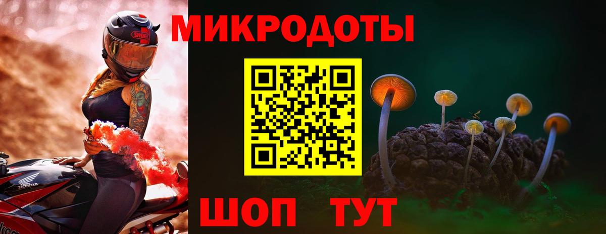 Киров  Псилоцибиновые грибы прущие грибы  Вход с VPN  Псилоцибиновые грибы мухоморы 